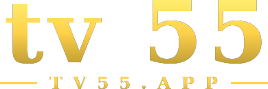 tv 55 logo